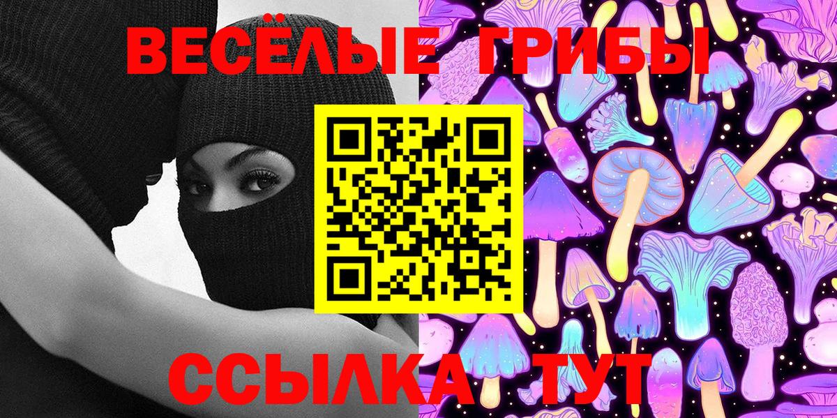 Псилоцибиновые грибы мицелий Ковров