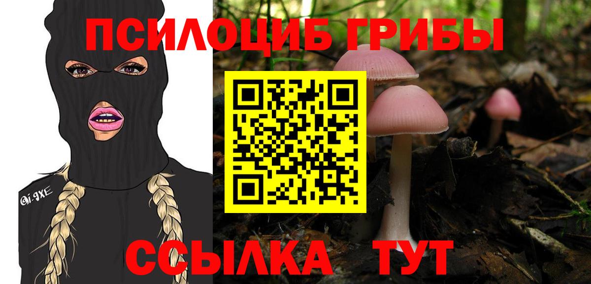 Галлюциногенные грибы GOLDEN TEACHER  Вход с VPN  Ковров 